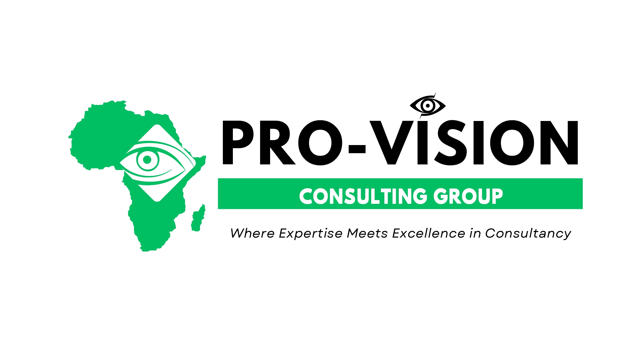 pro-vision group